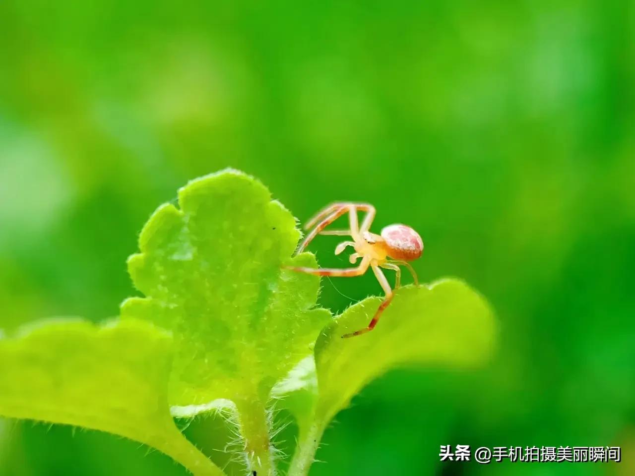 浠婃棩澶存潯鎺ㄨ崘鍓槧,浠婃棩澶存潯鎺ㄨ崘
