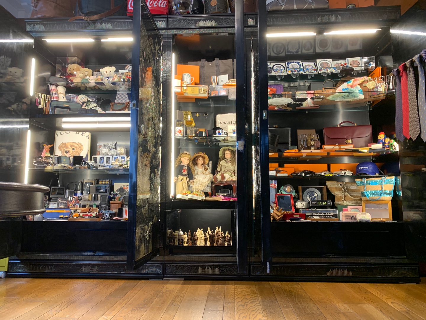 枝头上的孔雀幼鸟右侧双门