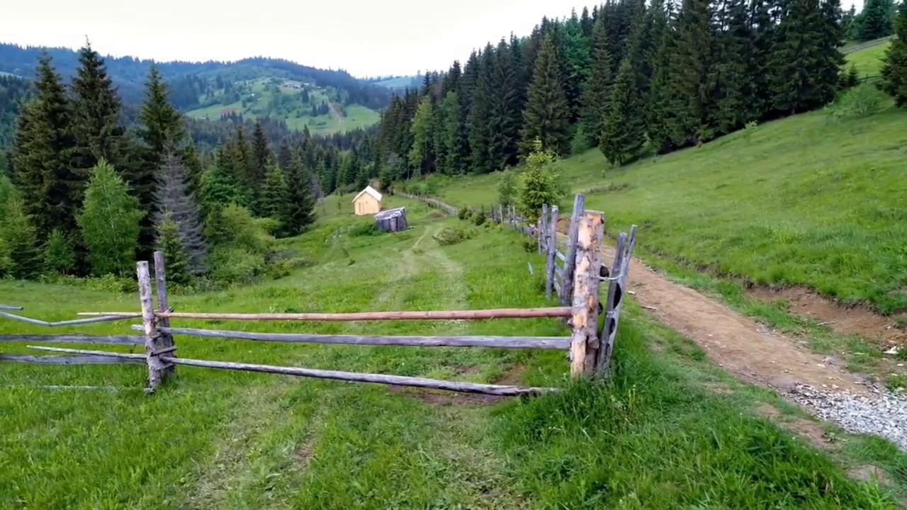 如何提升语言表达能力文章,如何提升语言组织表达能力