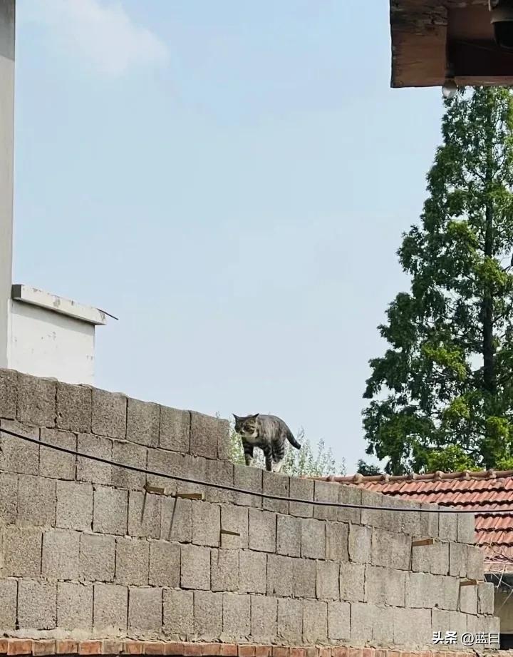 这个周末学什么,这个周末回老家