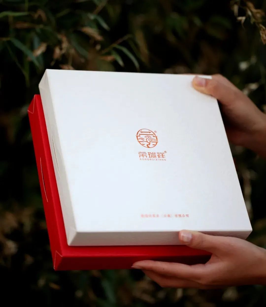 送中秋好礼送什么茶好,中秋节送什么茶好喝一点