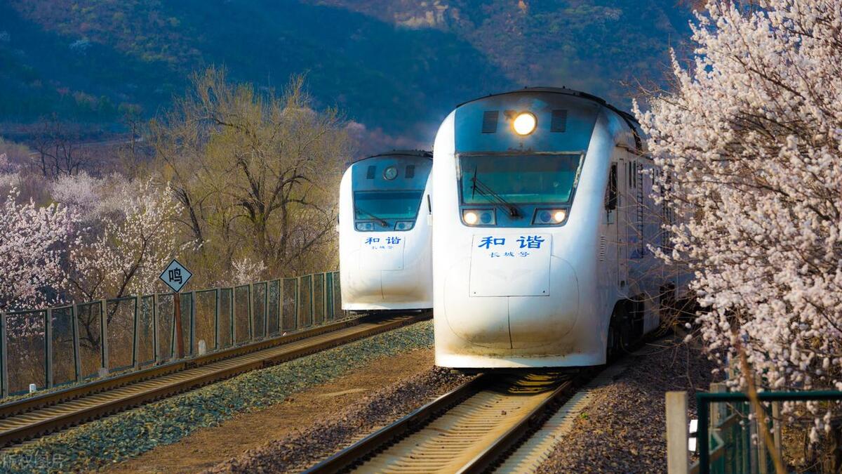 列车员不补票到站再补票可以吗,动车上如何补票