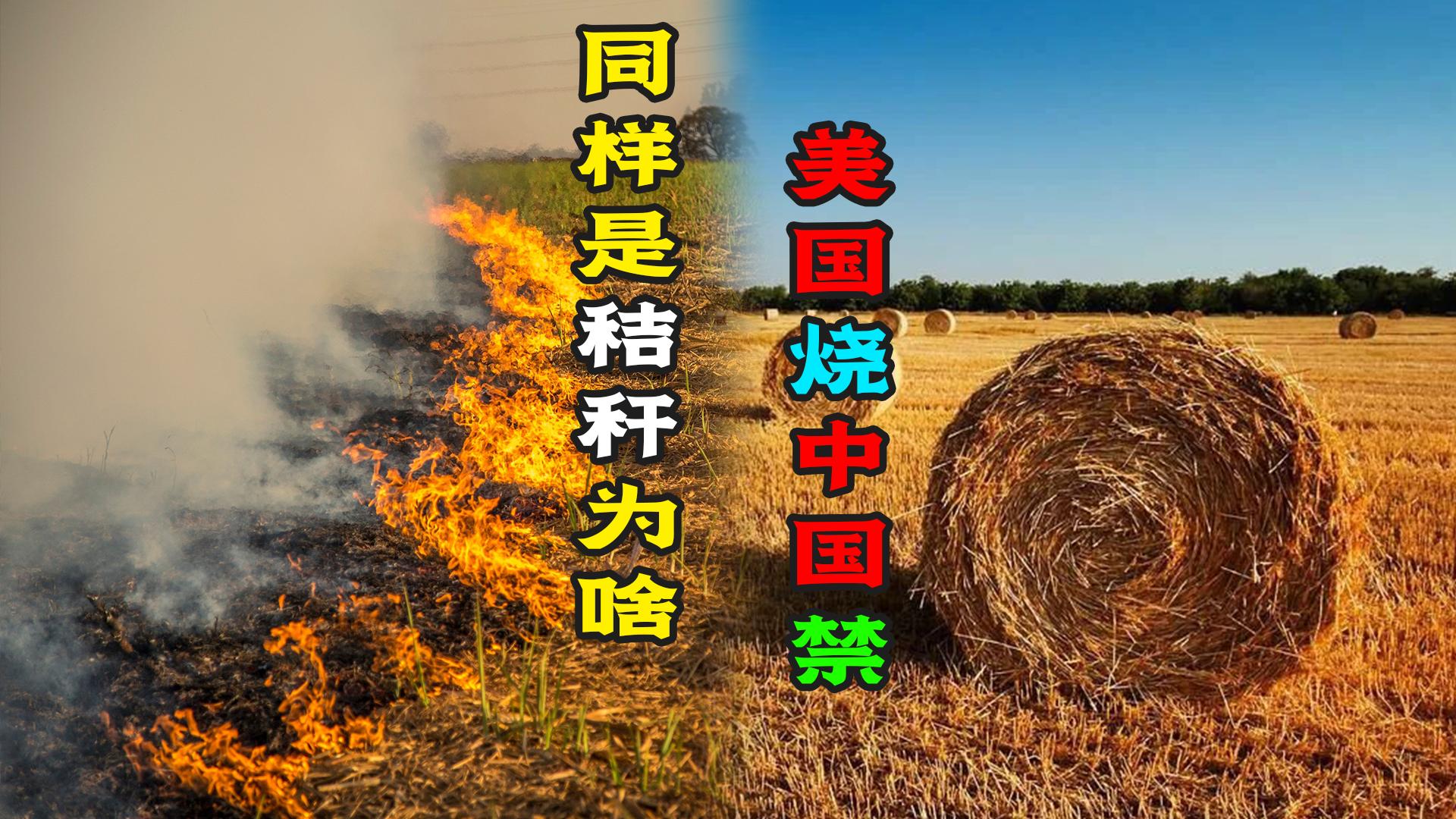中国为什么不能烧秸秆,中国为什么可以烧柴