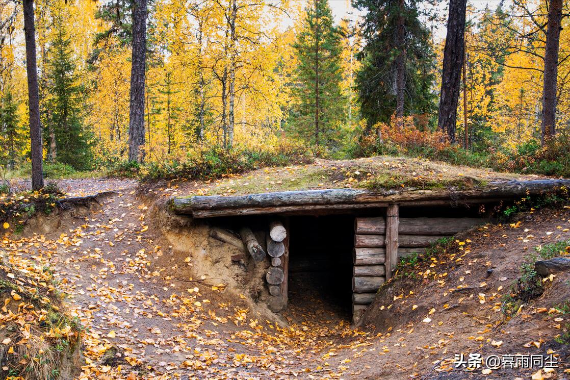 荒野求生紧急情况如何自救,荒野求生幸存者
