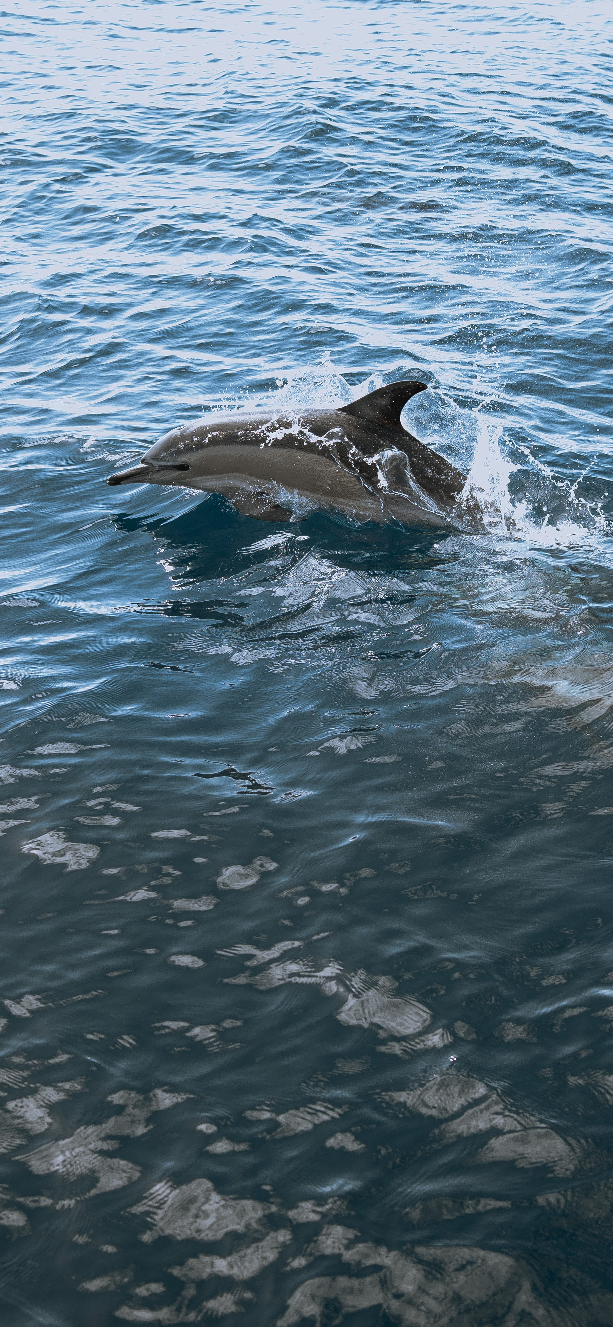 13promax壁纸高清4k原生,iphone13promax壁纸原生高清