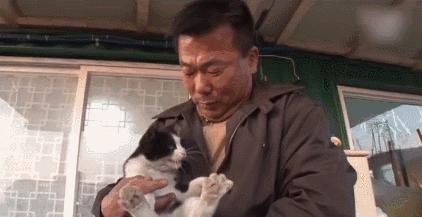 养猫有细菌浪费钱吗,养猫有用吗