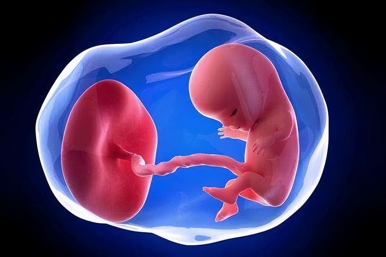 跑得最快、最阳刚的精子才能和卵子结合？不！只是运气爆棚而已