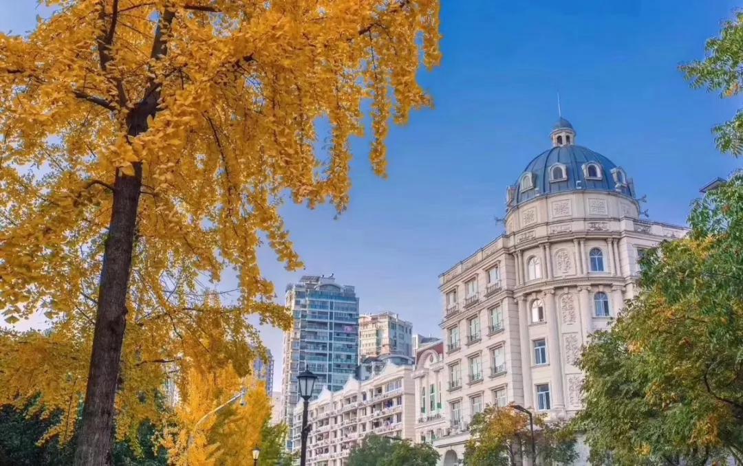 中国唯一用欧元买菜的江南小城,这座城市遍地都是豪车