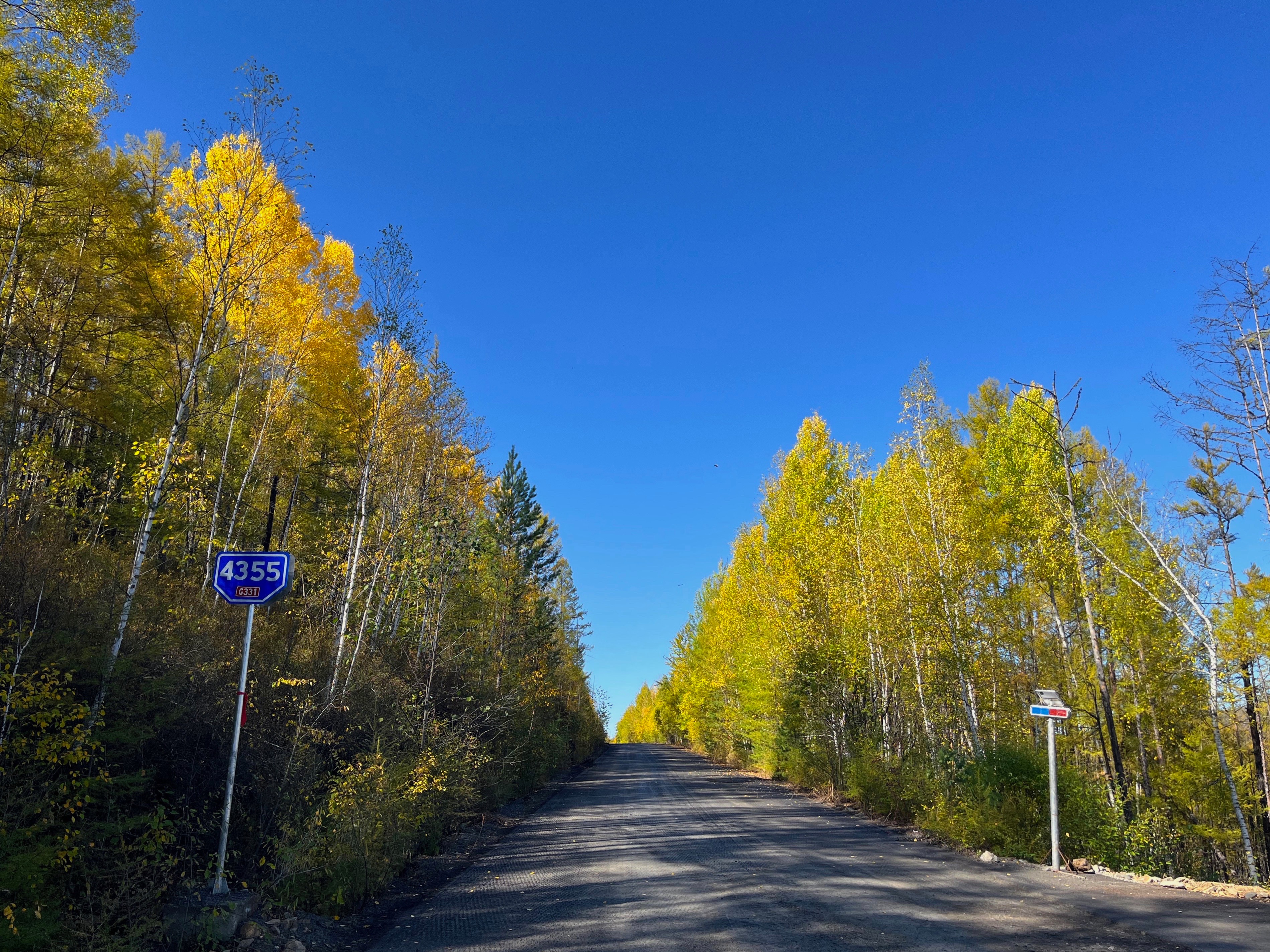 夫妻自驾11000公里,夫妻两人自驾游最新视频