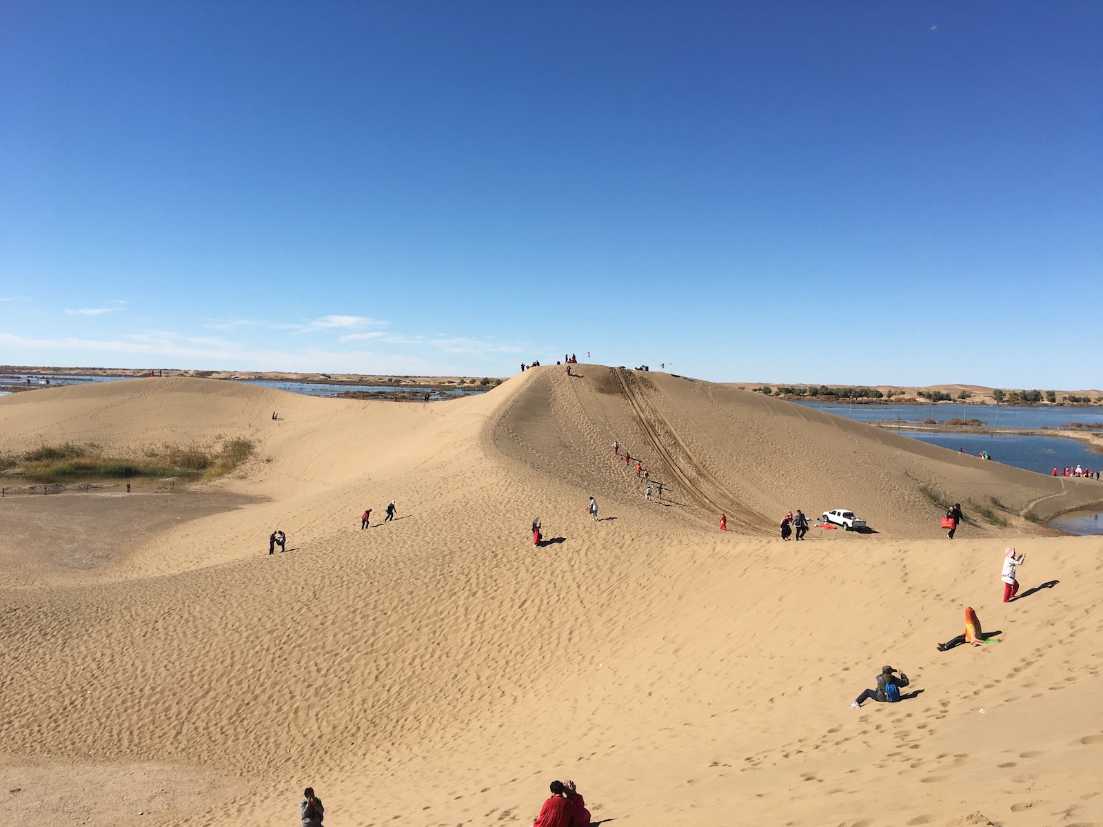 北京自驾额济纳胡杨林十天攻略,从北京到额济纳胡杨林线路
