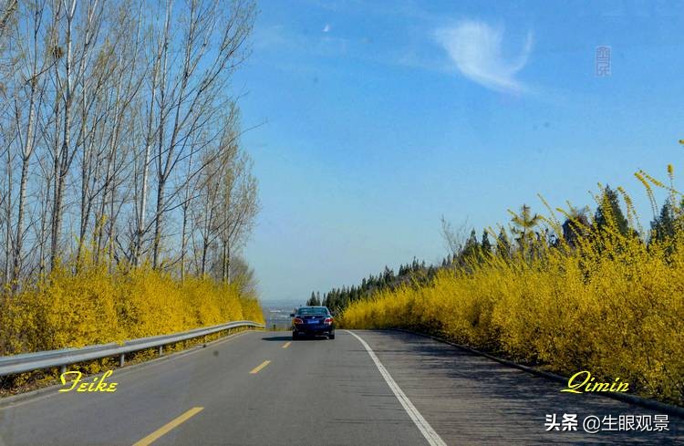 北京近郊春景,济南近郊春景
