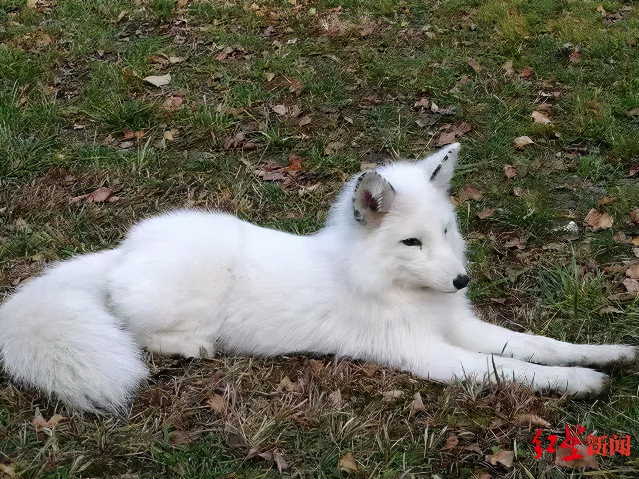 教育温暖的瞬间,一分钟看懂成都教育