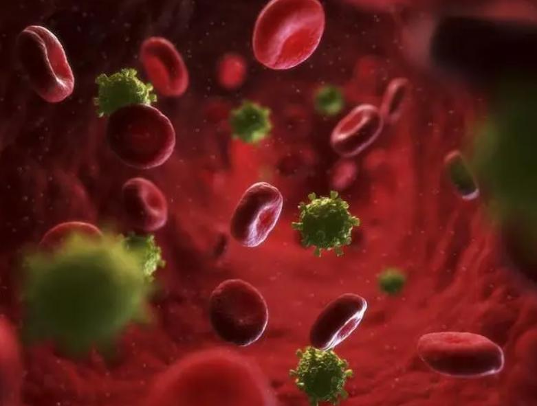 我国的禁娼政策,禁娼对社会有什么影响