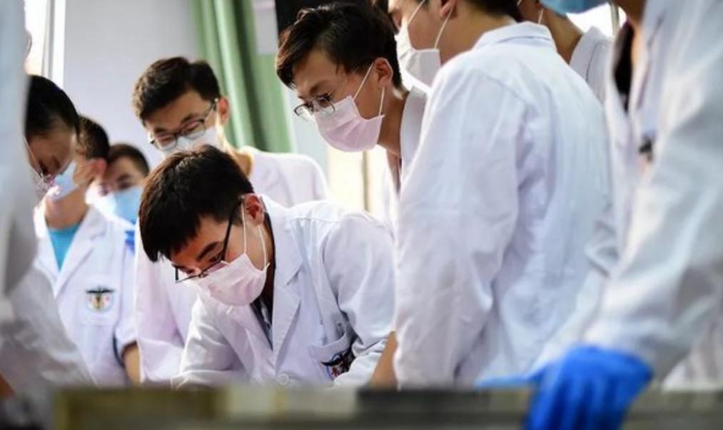 毕业生最容易就业的四大专业,应届生就业率最高的十大专业