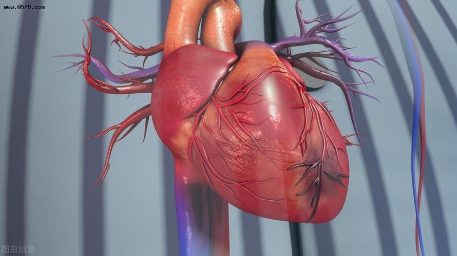 吸一年的烟对人的危害,吸一辈子烟