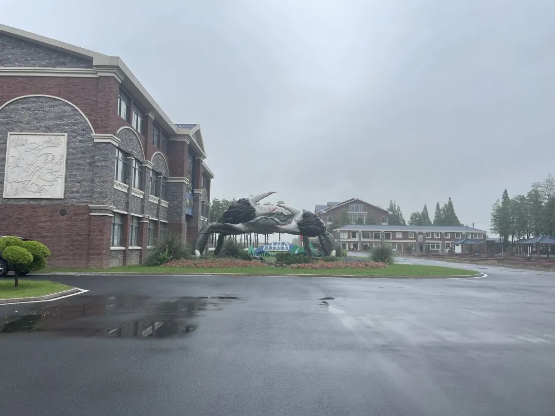 云养帝王蟹,立体式养蟹