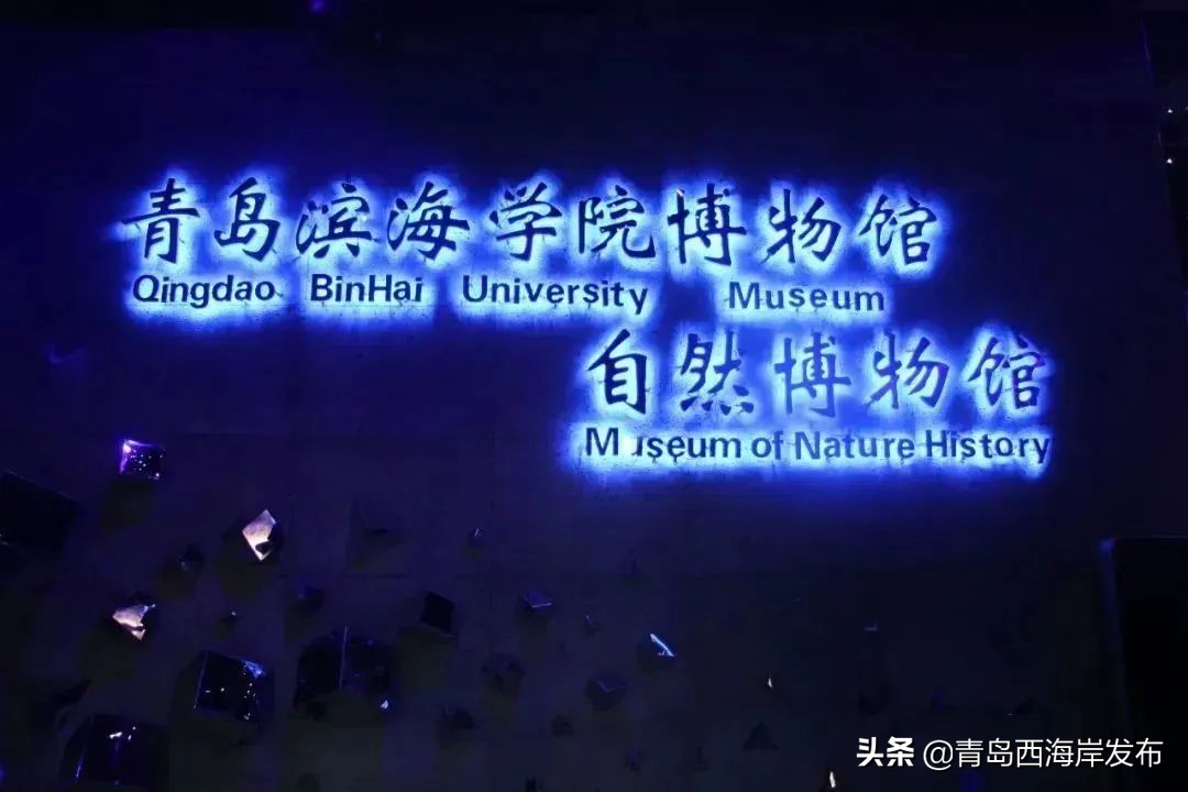 青岛冬天动物园野生动物世界,青岛野生森林动物园旅游攻略