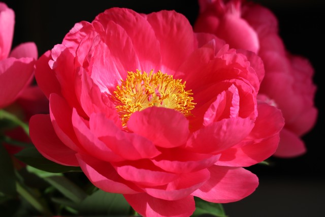 老年人舍不得丢东西故事,每个物品背后都有故事