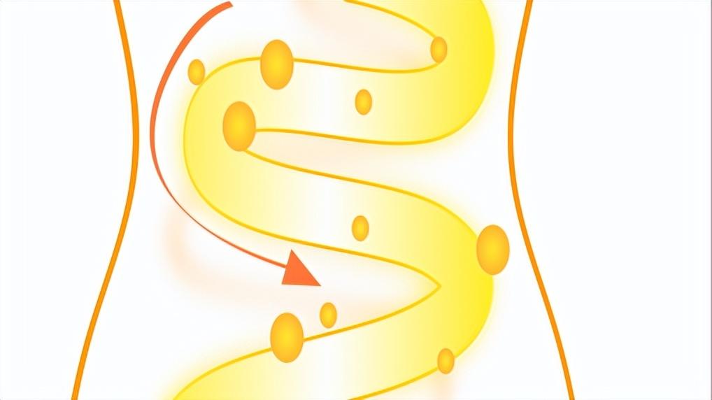 几块钱的维生素b6和几百的区别,维生素b6便宜的和贵的区别