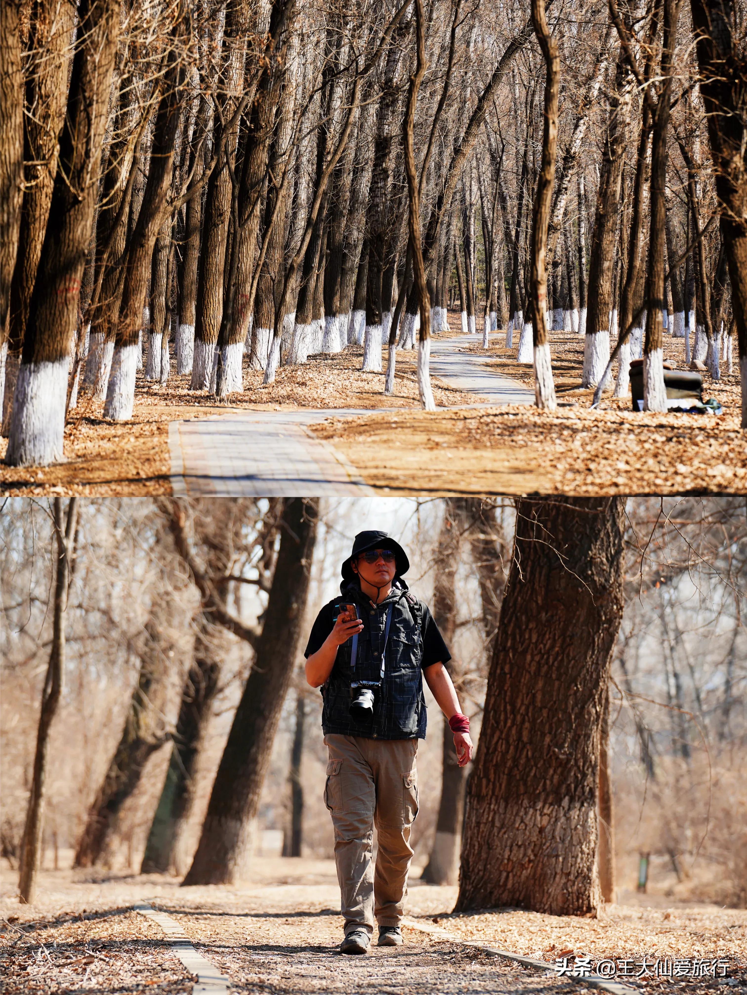 北京京郊踏青好去处,北京春季踏青爬山
