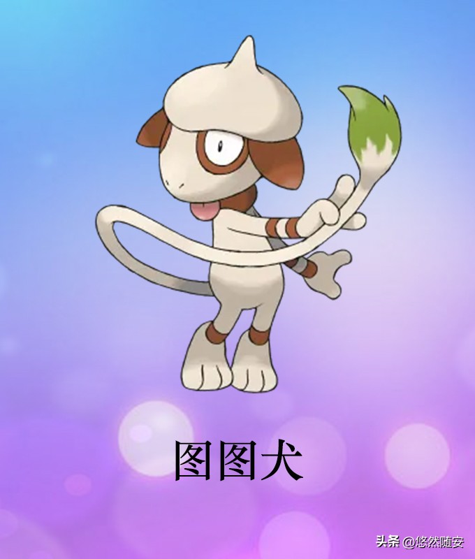 宝可梦伊布全部进化形态,宝可梦剑盾泪眼蜥进化形态