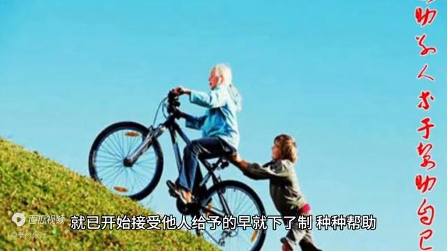 2024创业可行性,2024创业成功率