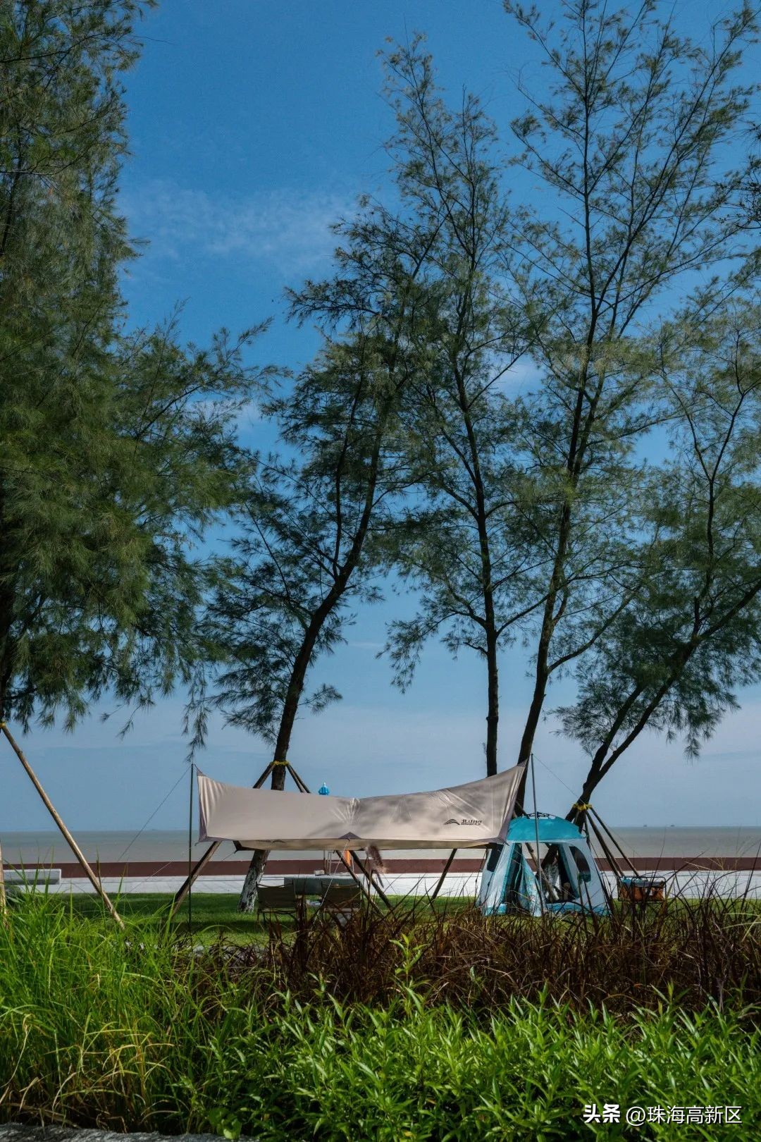 南宁人必打卡的宝藏公园,宝藏新公园周末好去处快来打卡