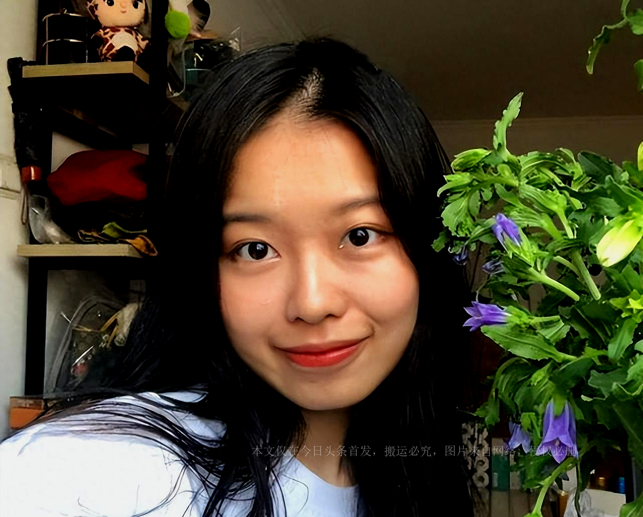 央视一哥朱军的歌曲,央视一哥白岩松近况