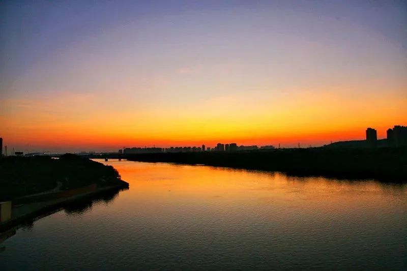 佛山顺德桔子,顺德陈村橘子