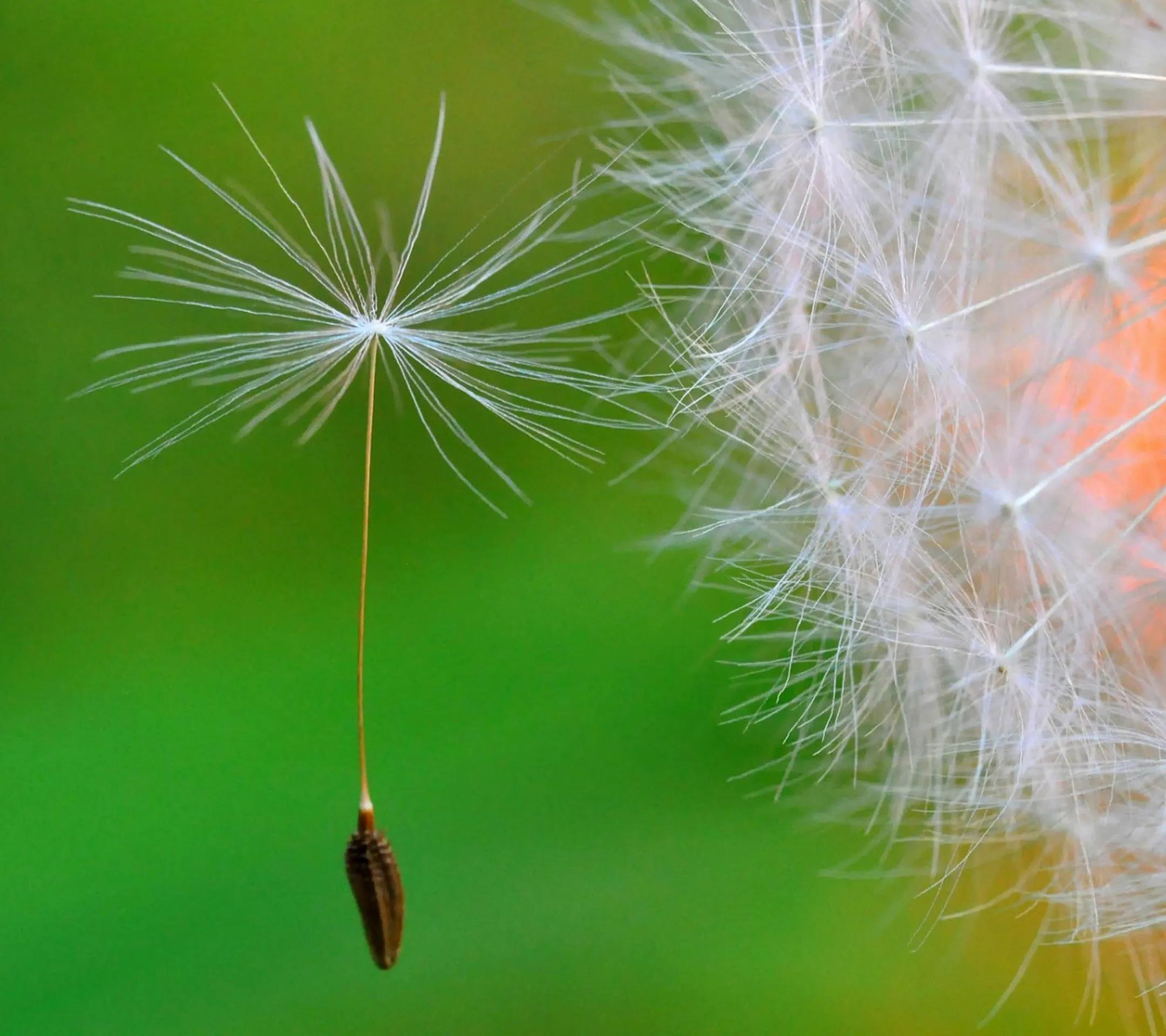 人心换人心落难见真情,岁月识人品日久识人心