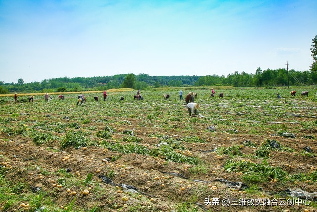 农业发展重点突破,农业创新发展模式