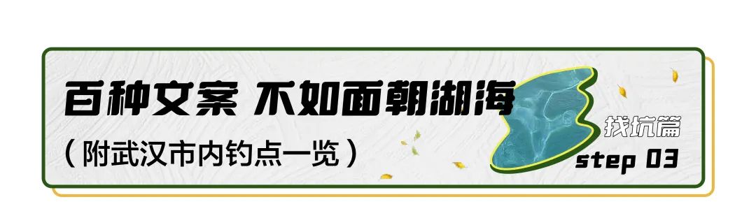 新手学钓鱼应该用什么鱼饵,想学钓鱼如何入门