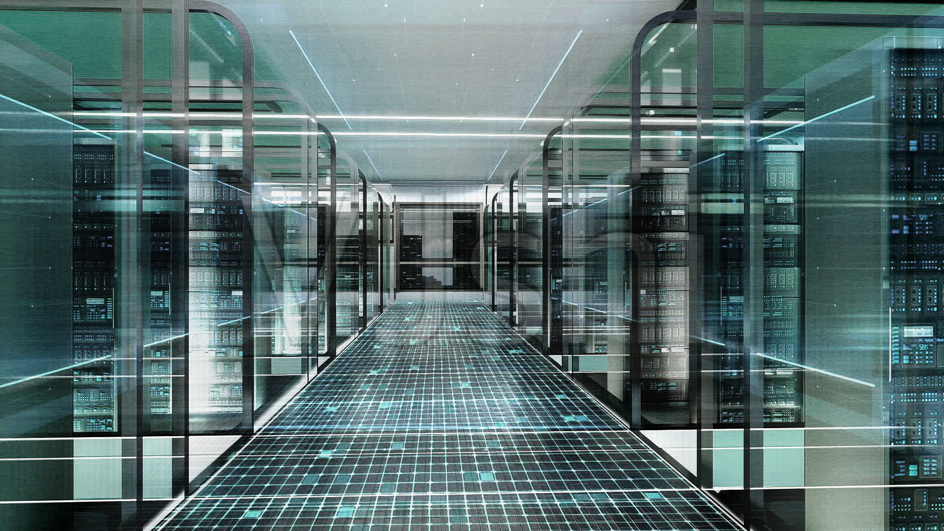 蒲公英nas下载,蒲公英的历史价位