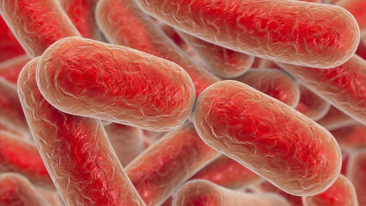 左氧氟沙星是抗菌药还是消炎药,左氧氟沙星对哪种细菌感染有用