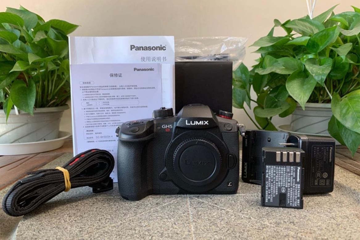 相机推荐新手入门微单加镜头,微单单反到底哪个更适合摄影新手