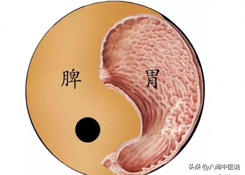 脾经堵了怎么打通,脾经最易堵塞的穴位