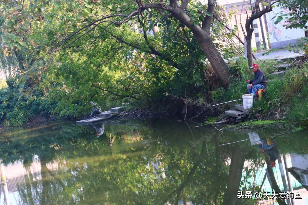 夏季钓鱼的几个技巧,冬季钓鱼注意这几点也能渔获满满
