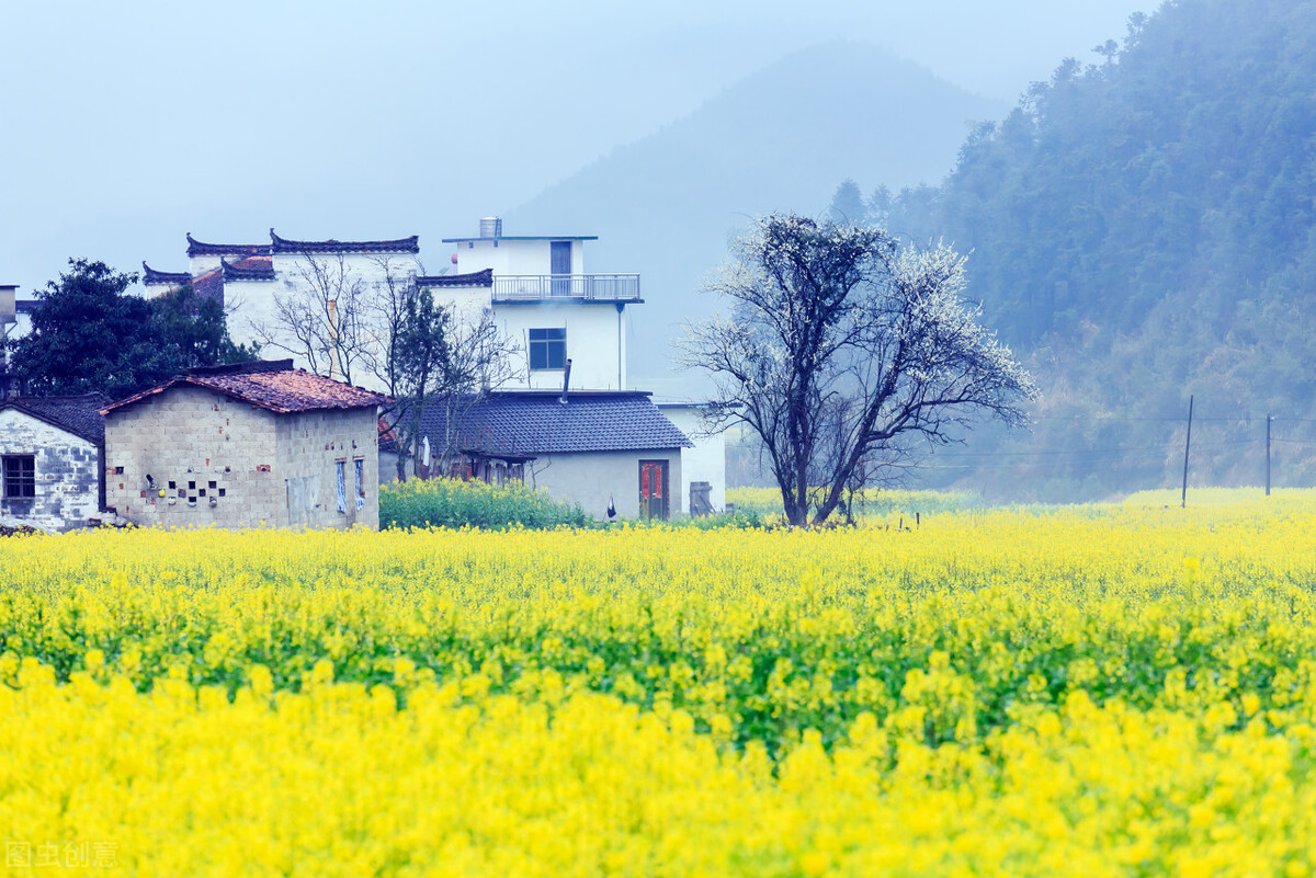 人到中年怎样才算是幸福,人到中年做到这3点才算活得通透