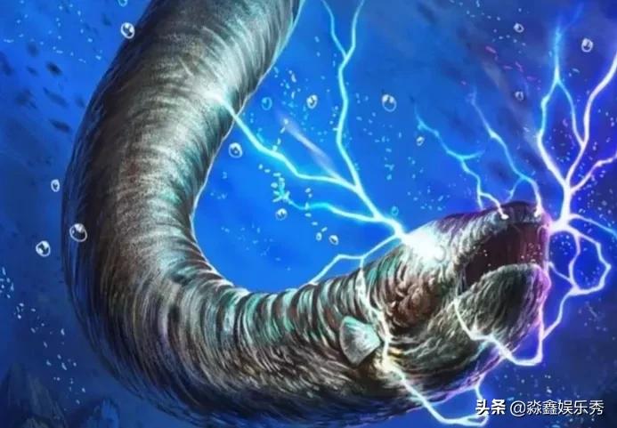 电鳗电死鳄鱼的视频,电鳗鱼电死鳄鱼视频