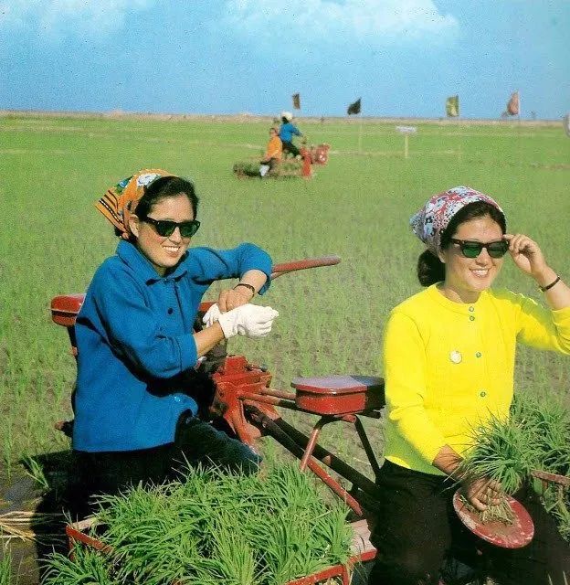 朝鲜发展最新消息,朝鲜国运史