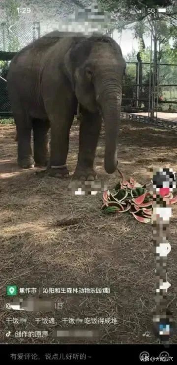 全网最近大事件,最大丑闻案件