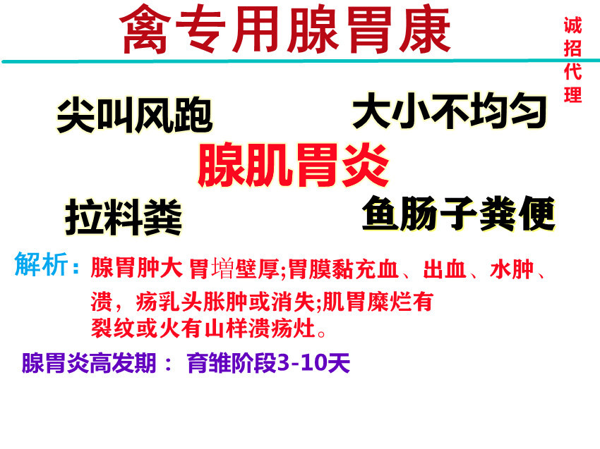 鸡霉菌性腺胃炎怎么治疗,鸡得了腺肌胃炎用什么药治疗