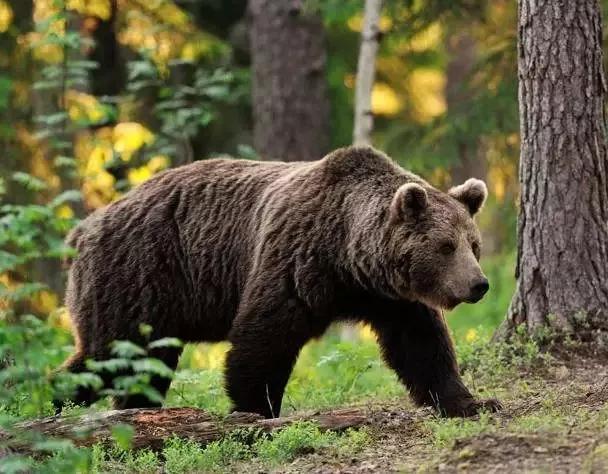 说点农村实际事,说点有意思的事