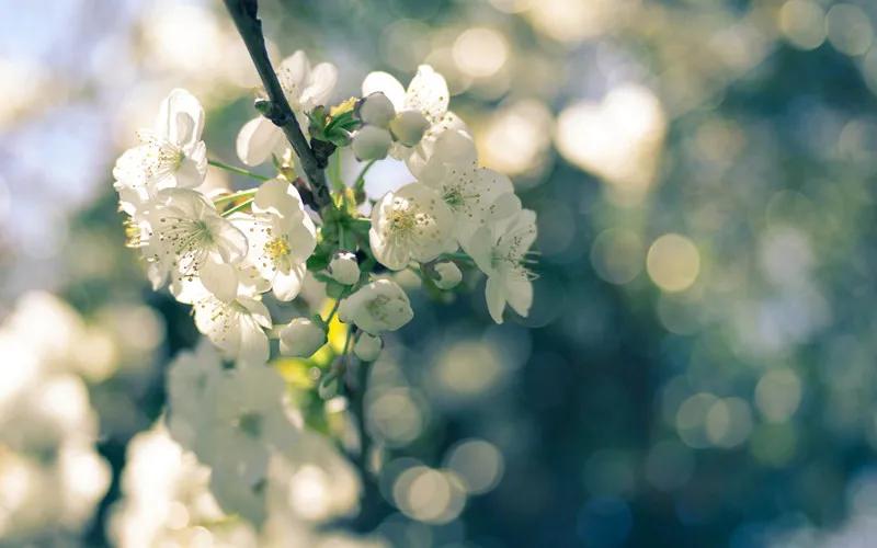 今后不要再问别人“我这个人怎么样”