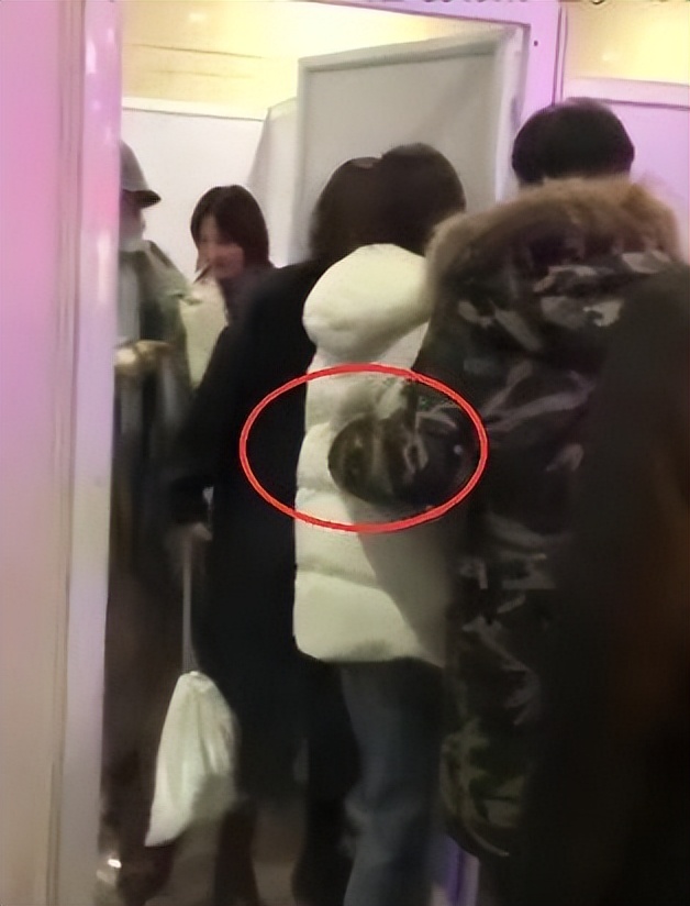 张翰为东八区上了几次热搜,张翰如何回应东八区的先生们