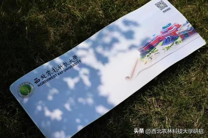 瑗垮寳鍐滄灄绉戞妧澶у鐮斿鎰熸偀,瑗垮寳鍐滄灄绉戞妧澶у鐮斿涔嬫梾