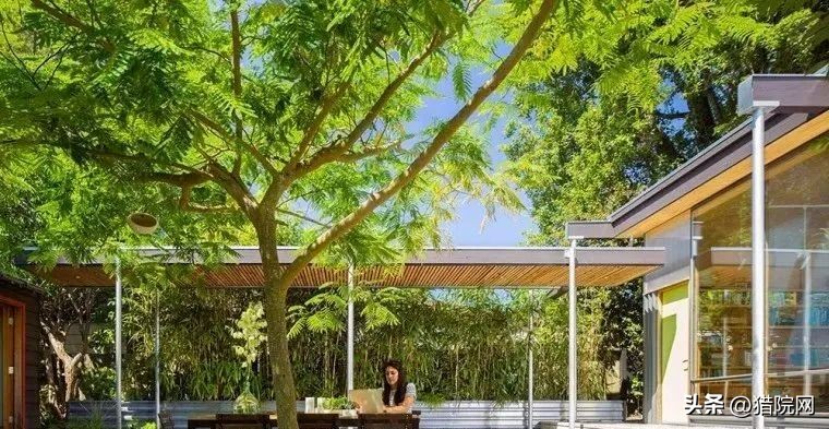 创业型农村小院,乡村创业农家小院设计方案