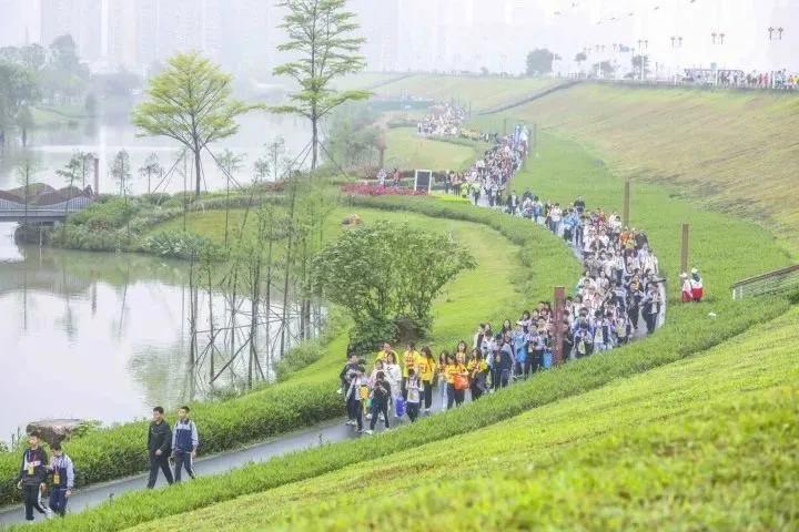 你还知道哪些关于清明节的知识,你知道关于清明节的习俗和诗句吗