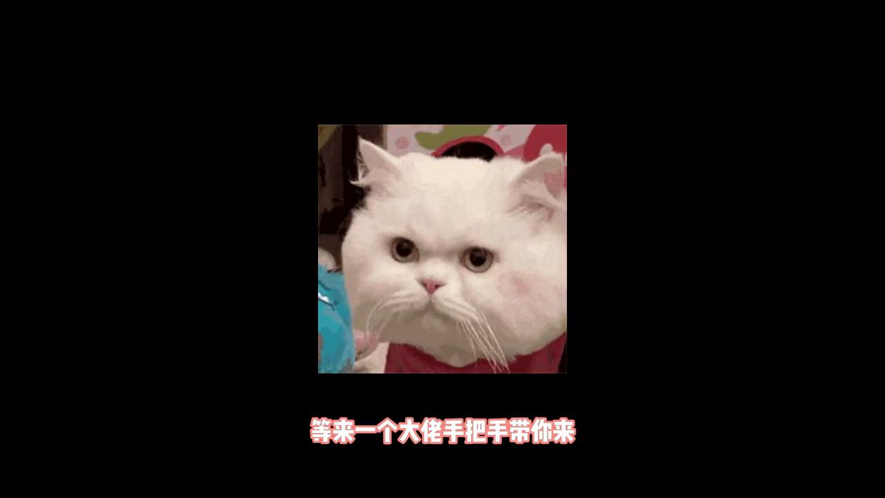 你是想赚钱想疯了吗,我现在就想赚钱