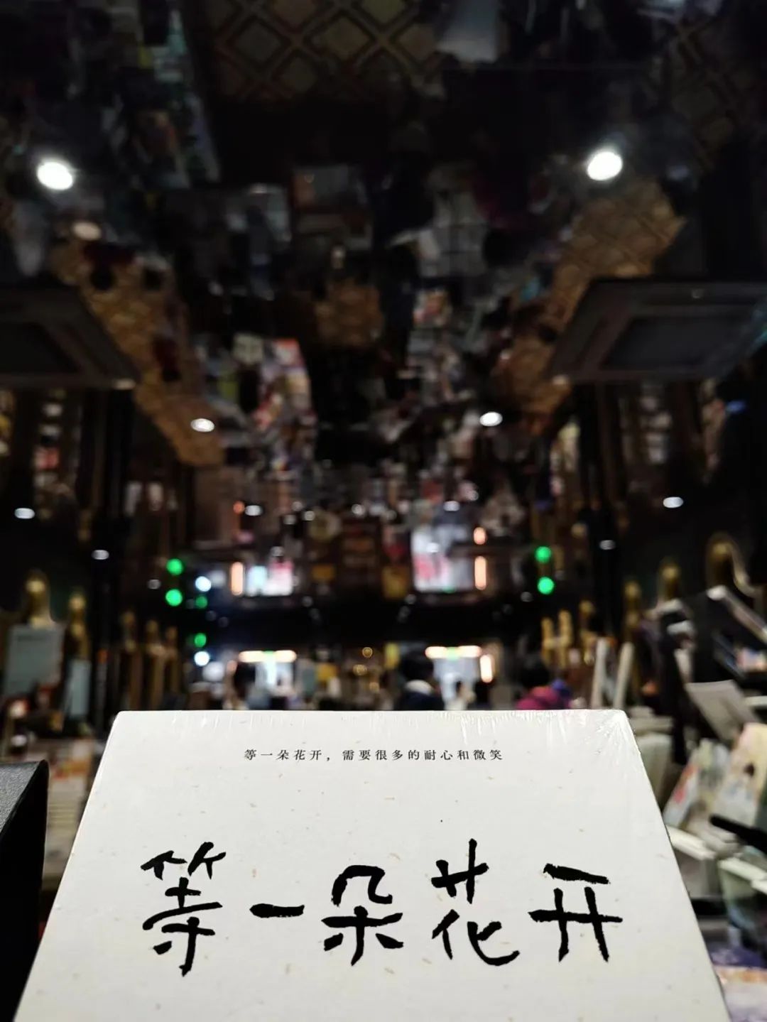 灏忓竷鎽勫奖鍥㈤槦,灏忓竷鎽勫奖